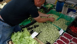 Ceny bobu na początku czerwca mogą zadowolić klientów, ale rozczarowują rolników