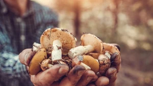 Miała po prostu iść do sklepu. Do domu wróciła ze skarbem w ręku