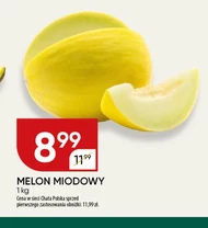 Melon Chata polska