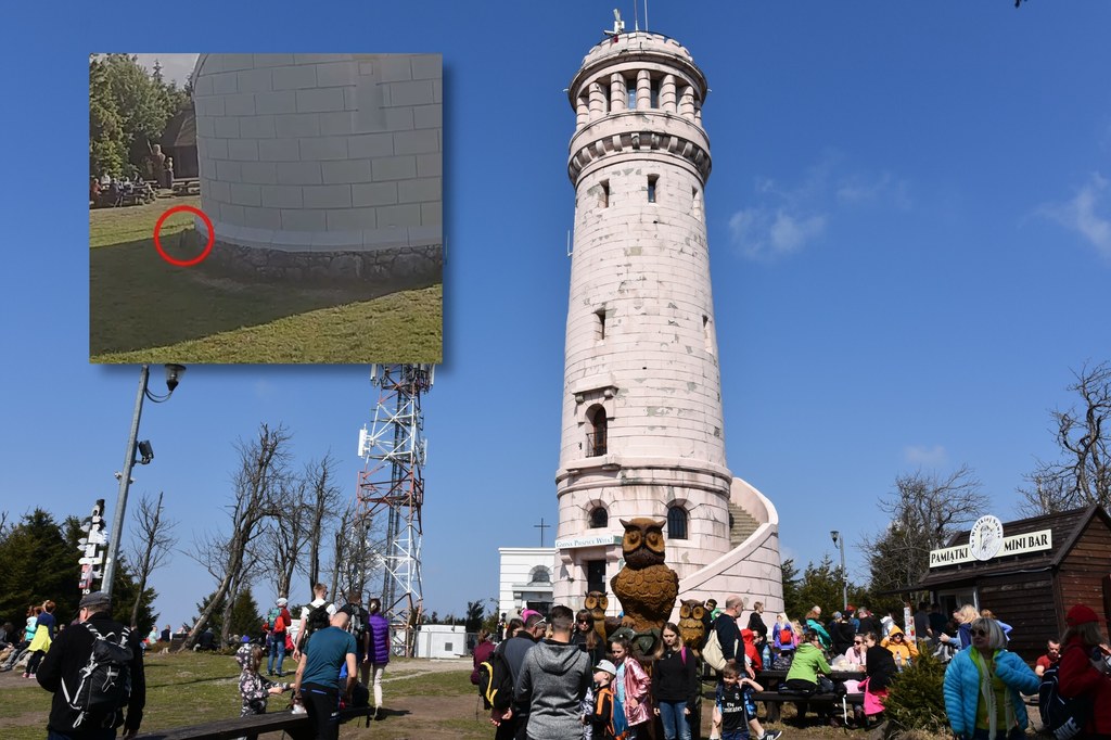 Do tragicznego wypadku doszło w weekend w Górach Sowich. Pies wbiegł na wieżę widokową, po czym spadł