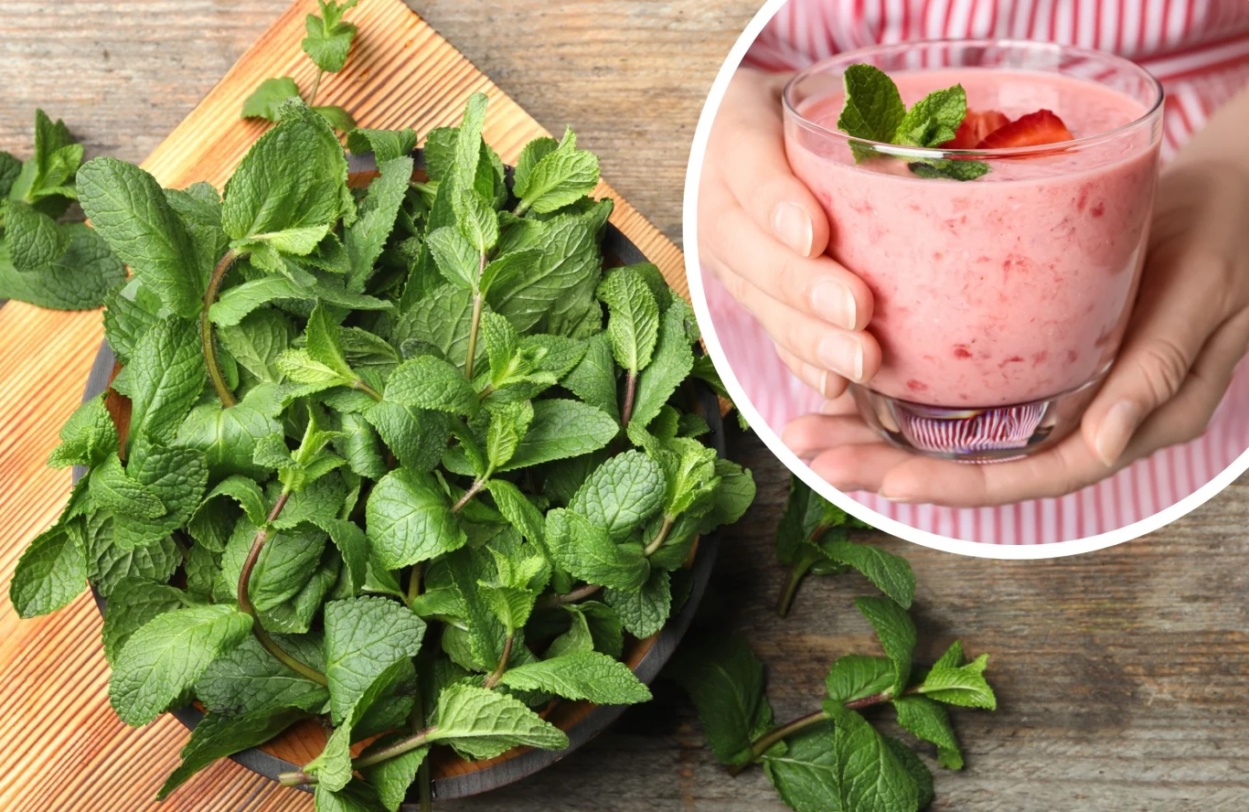 Różne odmiany mięty mogą nas zaskoczyć. Którą z nich wybierzesz? | Fot. 123RF/Picsel Różne odmiany mięty mogą nas zaskoczyć. Którą z nich wybierzesz? | Fot. 123RF/Picsel