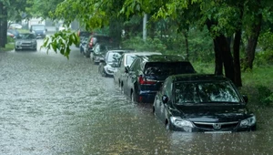 Po powodzi trafią do Polski. Jak rozpoznać auto po zalaniu?