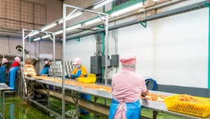 Duże zmiany dotknęły Polaków. To koniec wyjazdów do pracy za granicę?