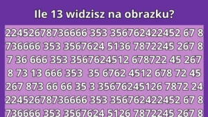 Bardzo trudny test na spostrzegawczość: Tylko sokole oko odnajdzie wszystkie "13"