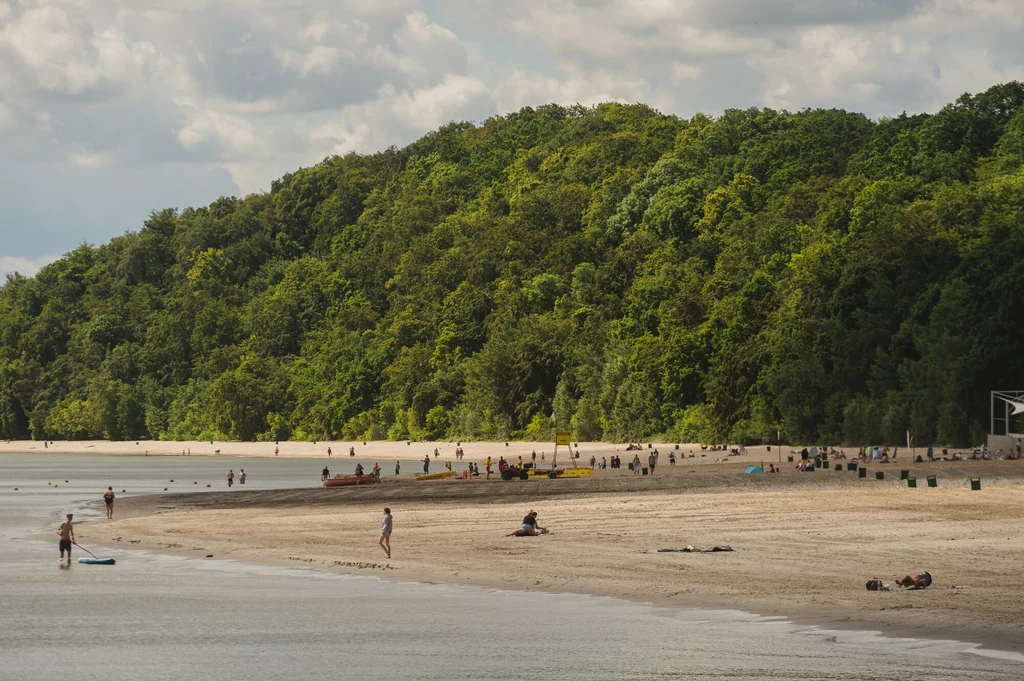 Plaża w Orłowie