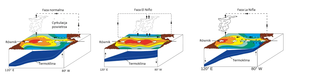 Cyrkulacja ENSO. Kliknij aby powiększyć Cyrkulacja ENSO. Kliknij aby powiększyć