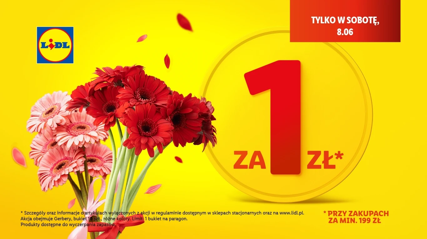Bukiet gerber za 1 zł w Lidlu! 