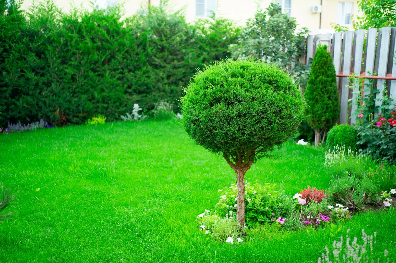 Jak ochronić przydomowe ogródki przed wężami? Jest kilka naturalnych sposobów Jak ochronić przydomowe ogródki przed wężami? Jest kilka naturalnych sposobów