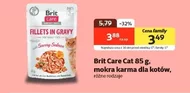 Вологий корм для котів Brit Care