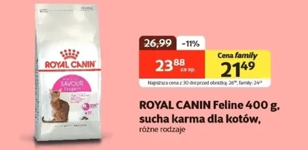 Karma dla kota Royal Canin