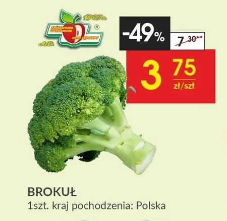 Brokuł