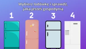 Psychotest: Wskaż lodówkę i sprawdź, jakim typem gospodyni jesteś