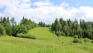 Tajemnicze miejsce w polskich górach. Przysypane ziemią. Poznamy prawdę?