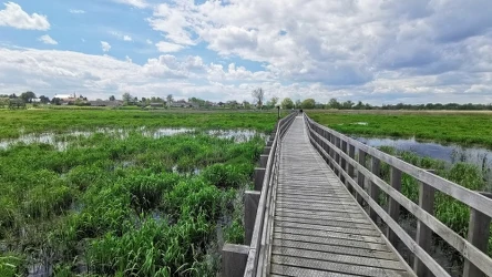 Kładka Waniewo-Śliwno to wyjątkowa atrakcja Narwiańskiego Parku Narodowego.