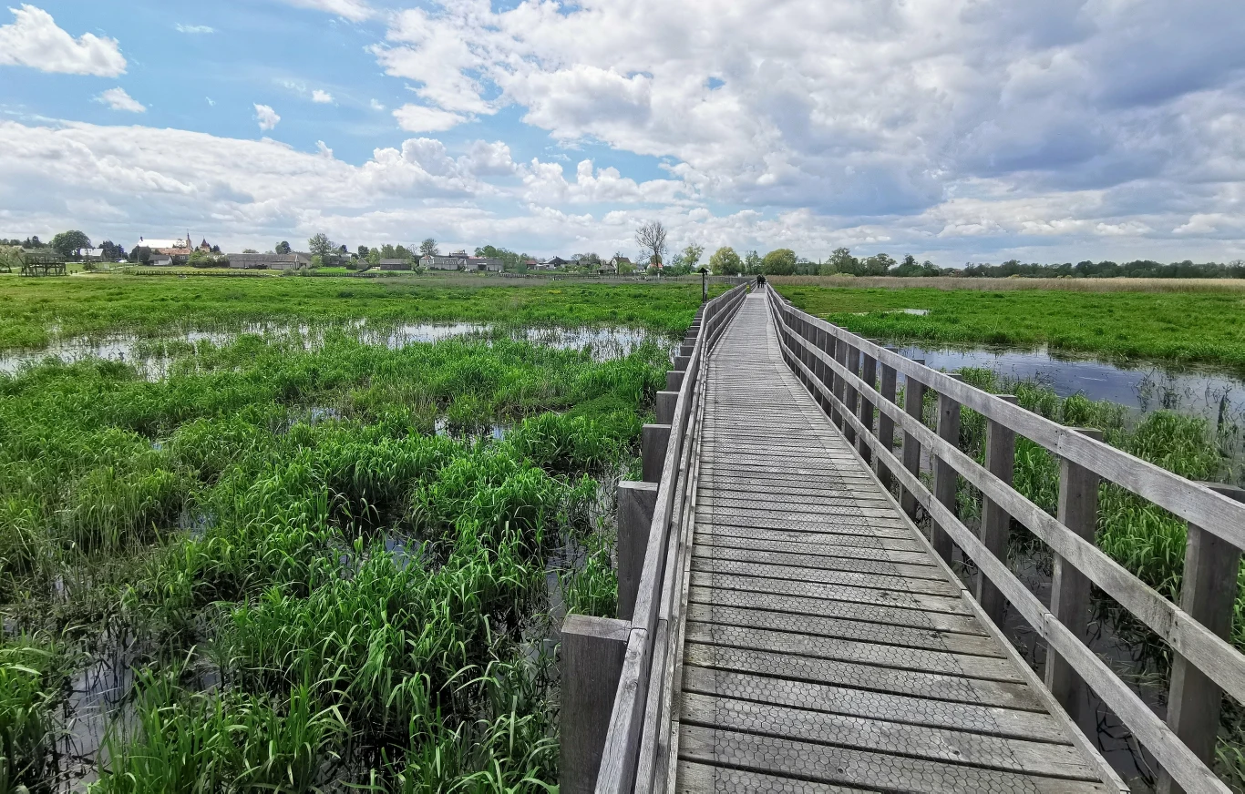 Kładka Waniewo-Śliwno to wyjątkowa atrakcja Narwiańskiego Parku Narodowego.