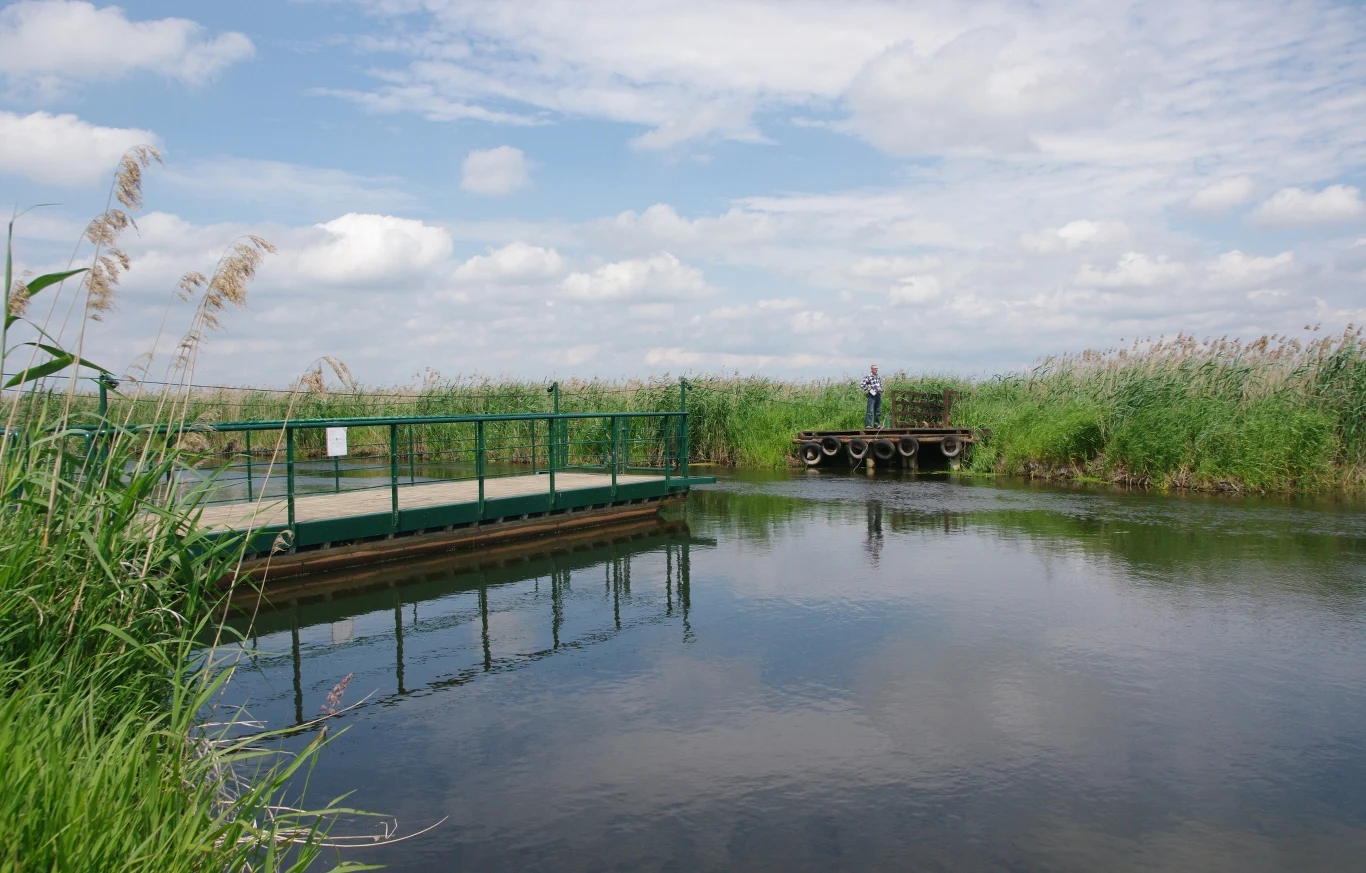 Na trasie kładki czeka kilka przepraw, które należy samodzielnie przeciągnąć na drugi brzeg. To spora atrakcja dla dzieci i dorosłych.