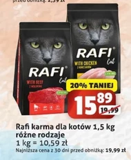 Karma dla kota Rafi