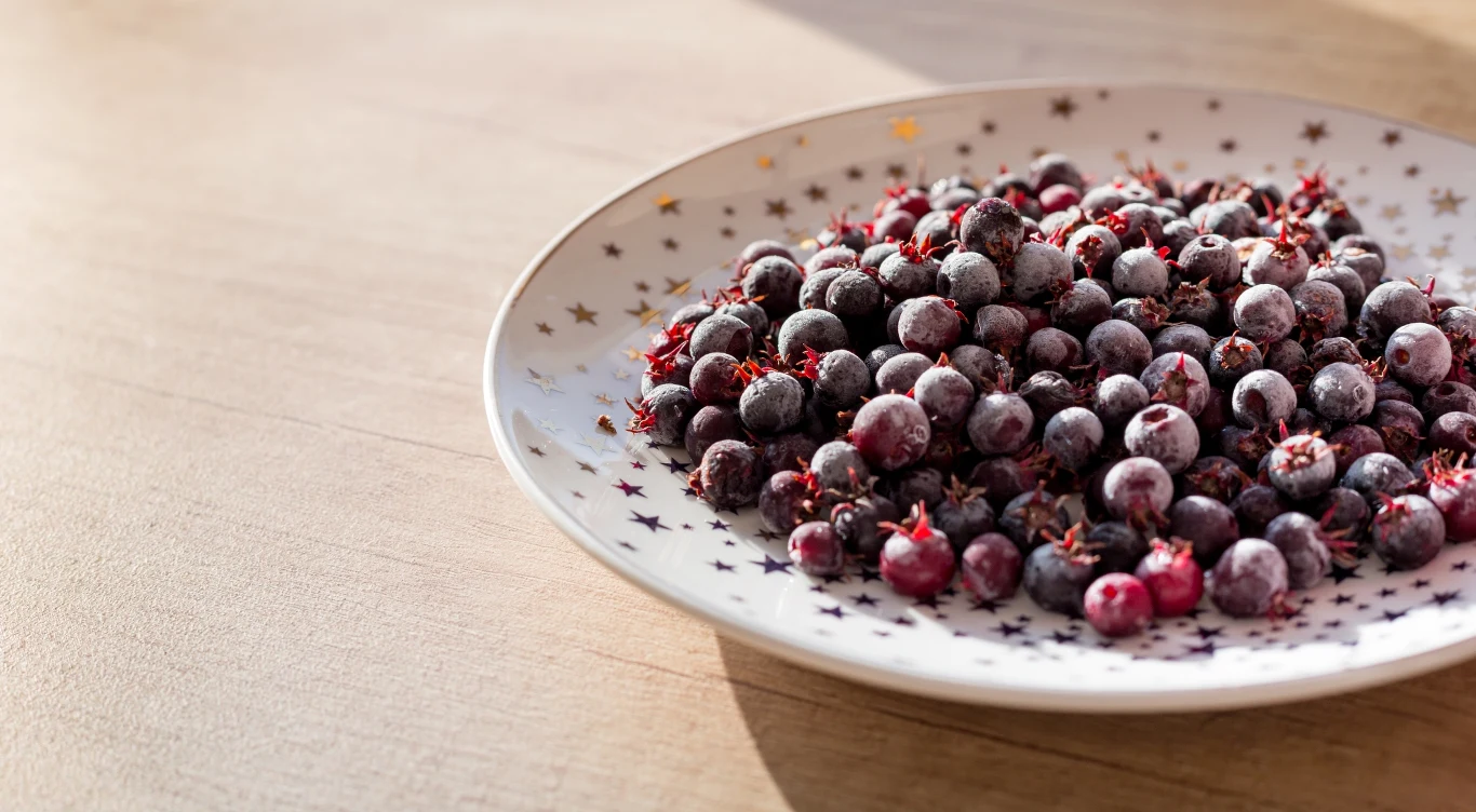 Owoce świdośliwy najlepsze są surowe, ponieważ szybko uzupełniają niedobory Owoce świdośliwy najlepsze są surowe, ponieważ szybko uzupełniają niedobory