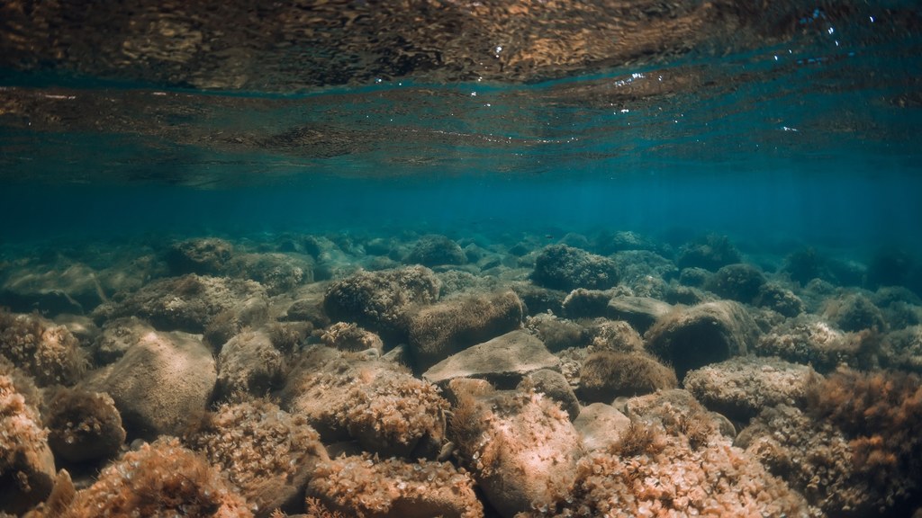 Naukowcy od lat wiedzieli, że oceany odgrywają ważną rolę jeśli chodzi o dwutlenek węgla na Ziemi. Teraz ustalono, że kluczowe w tym wypadku jest dno akwenów