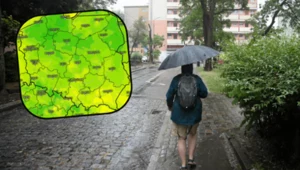 Deszczowa aura i niskie temperatury. Prognoza pogody na nadchodzący tydzień