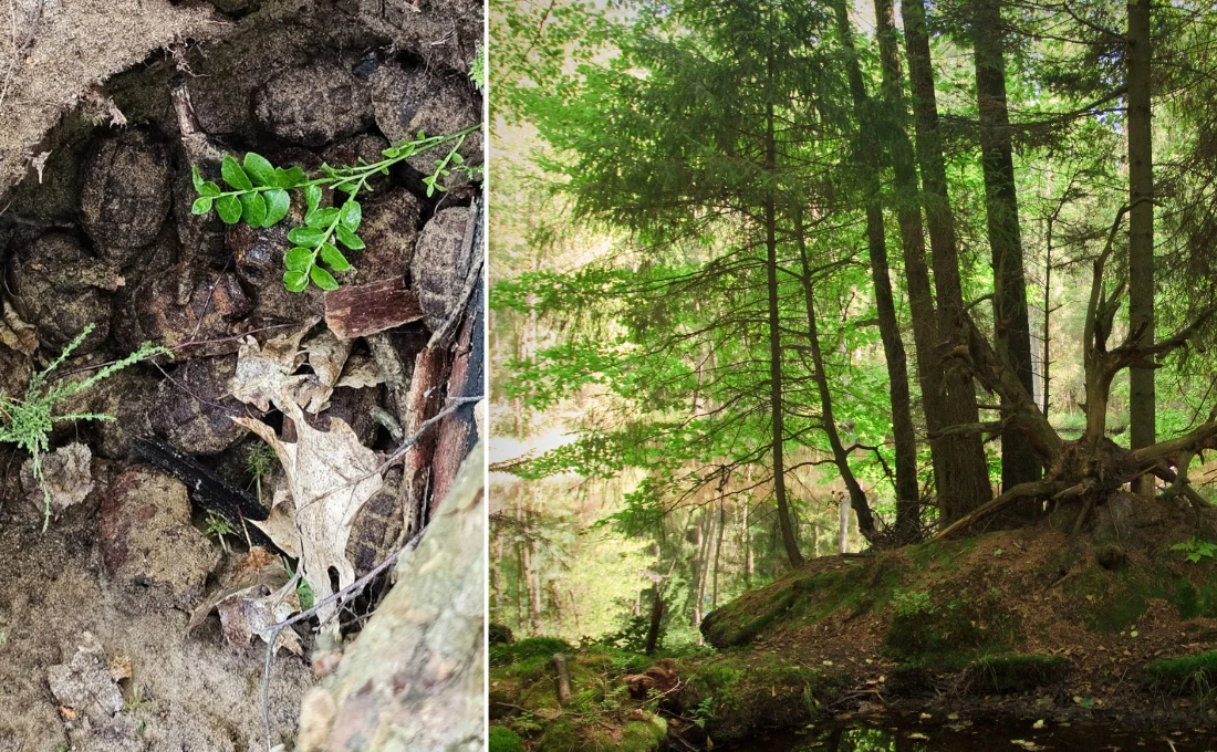 Archeolodzy musieli zmienić plany. Akcja służb w Lubelskiem Archeolodzy musieli zmienić plany. Akcja służb w Lubelskiem