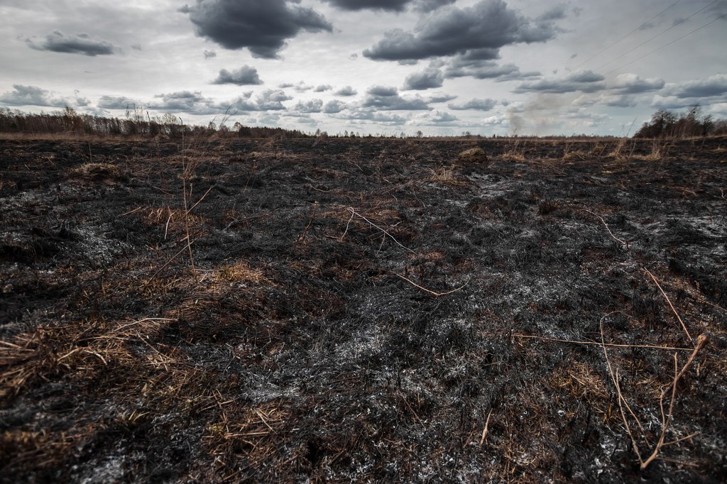 Pożary zombie latami trawiące torfowiska występują na Ziemi coraz częściej. To fatalna wiadomość dla klimatu