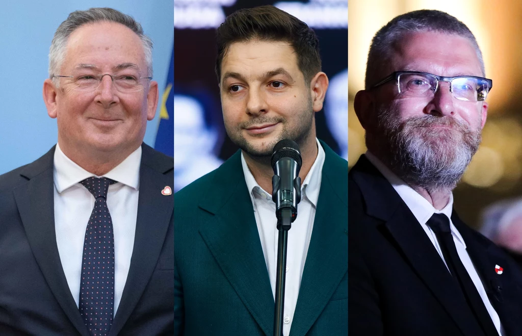 Sondażowe wyniki wyborów do Parlamentu Europejskiego. Kto dostał się do PE? Sondażowe wyniki wyborów do Parlamentu Europejskiego. Kto dostał się do PE?