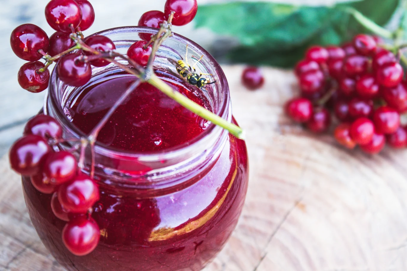 Gładki dżem z czerwonych porzeczek - słodki i bez pestek