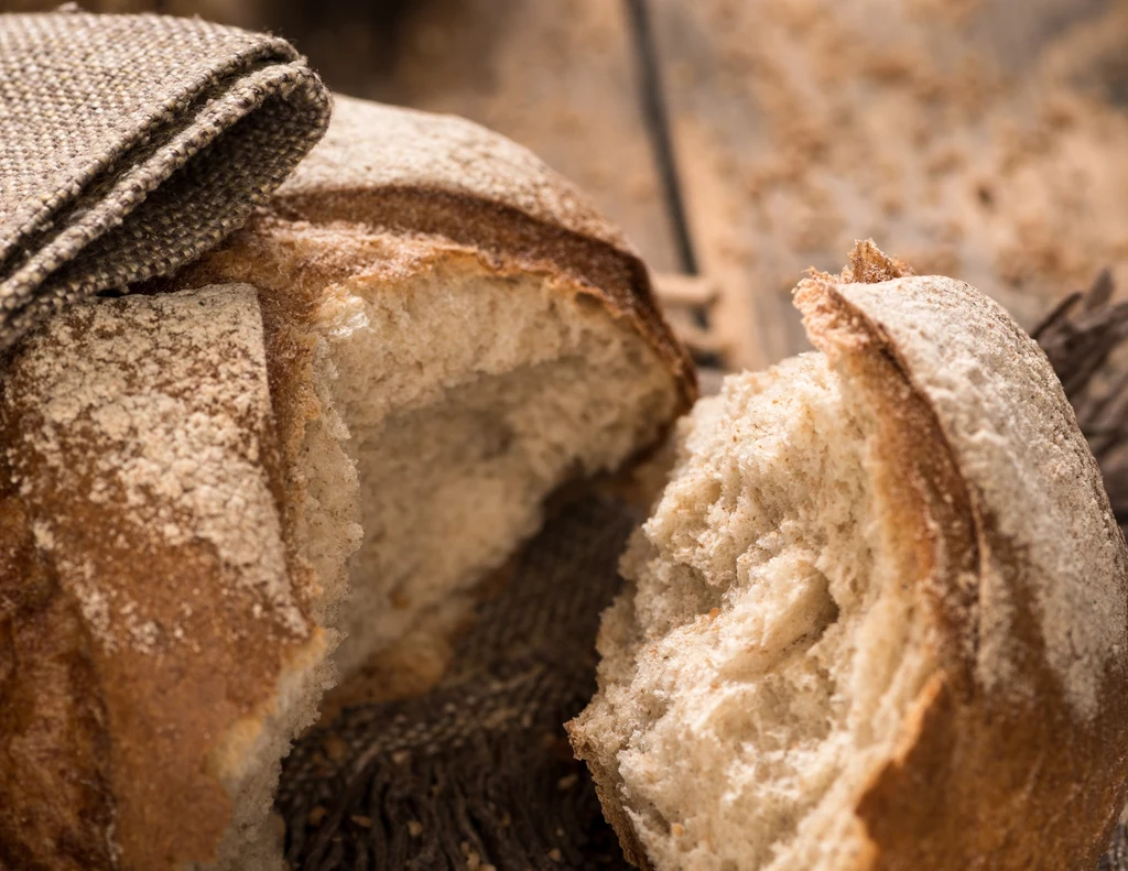 Podsuszony chleb możemy wykorzystać do przygotowania odżywki ogrodowej