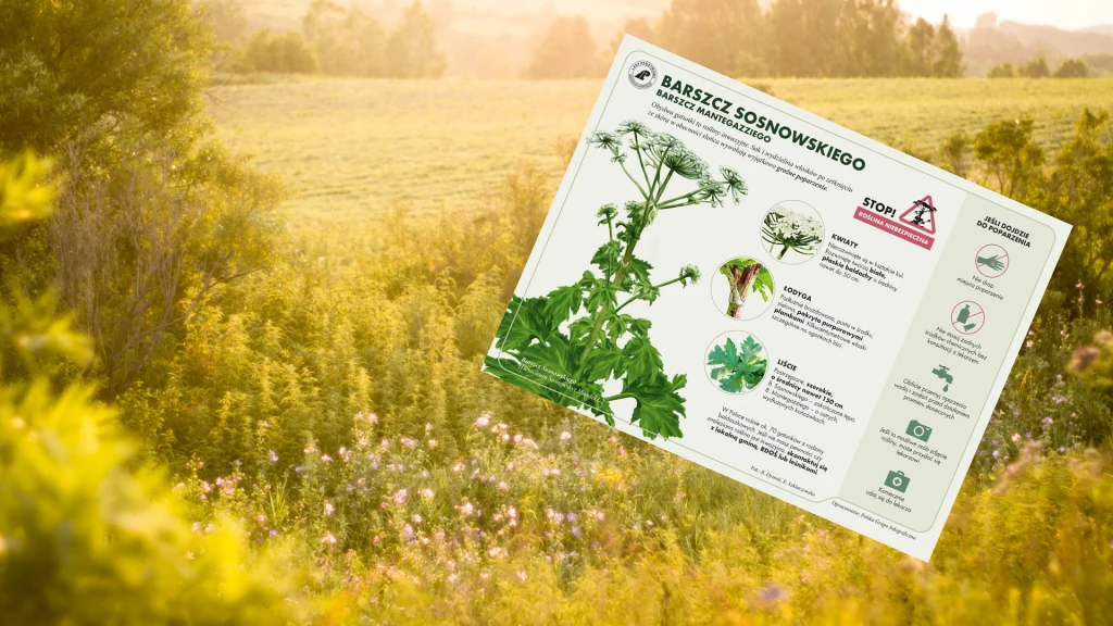 Lasy Państwowe wydały pilny komunikat Lasy Państwowe wydały pilny komunikat