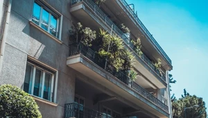 Jak osłonić balkon przed wzrokiem sąsiada? Cztery proste patenty 