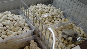 Ukraińska sieć Wesoła Pani z produktami mrożonymi chce mieć 500 placówek w Polsce (zdj. ilustracyjne)