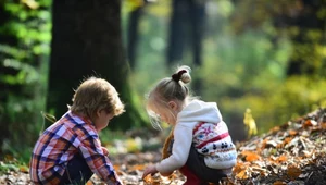 Przebywanie w lesie zmienia układ odpornościowy dziecka. Na lepsze