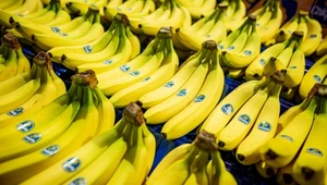 Chiquita musi zapłacić milionowe odszkodowanie