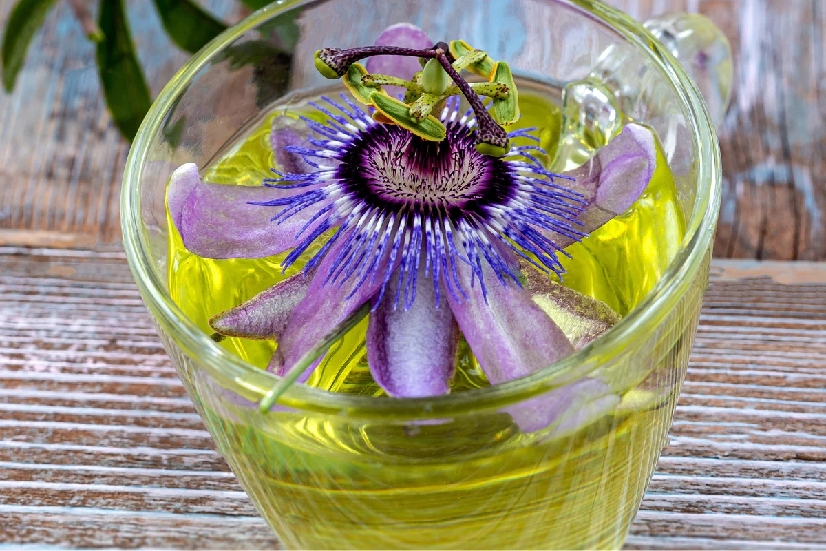 Napar z passiflory jest naturalnym środkiem uspokajającym