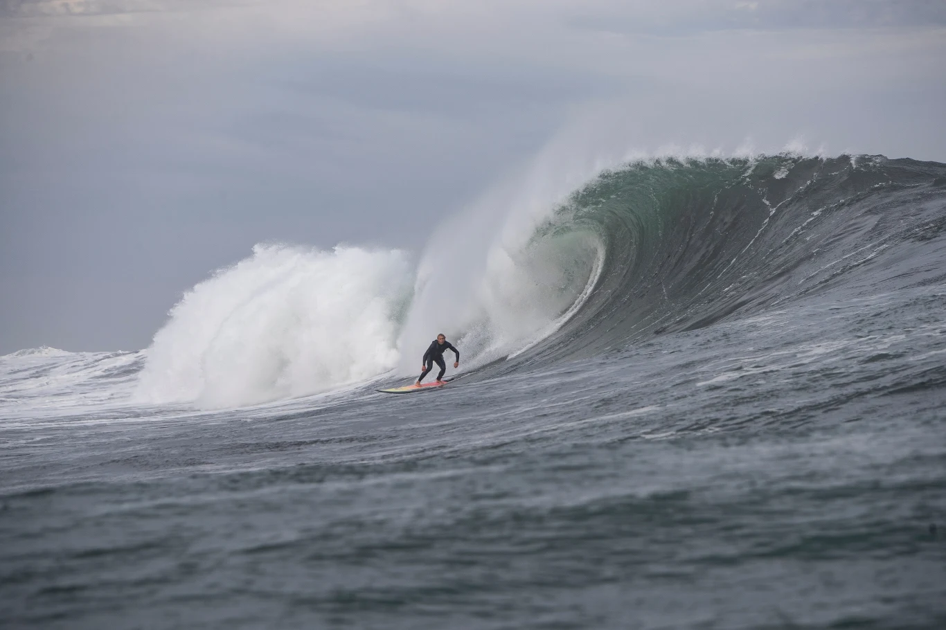 Adam Warchoł Adam Warchoł