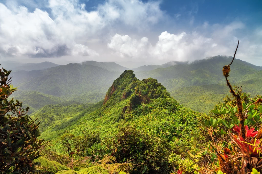 El Yunque skrywa wiele niesamowitych cudów natury takich jak wielkie wodospady i naturalne zjeżdżalnie wodne