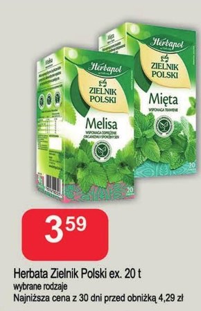 Herbapol Zielnik Polski Herbatka ziołowa melisa 40 g (20 x 2 g) niska cena