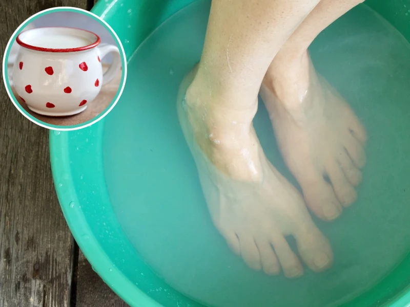 Już piękna Kleopatra wiedziała, że kąpiele w mleku zmiękczają skórę. Wymocz w nim stopy, a te staną się gładkie jak jedwab Już piękna Kleopatra wiedziała, że kąpiele w mleku zmiękczają skórę. Wymocz w nim stopy, a te staną się gładkie jak jedwab