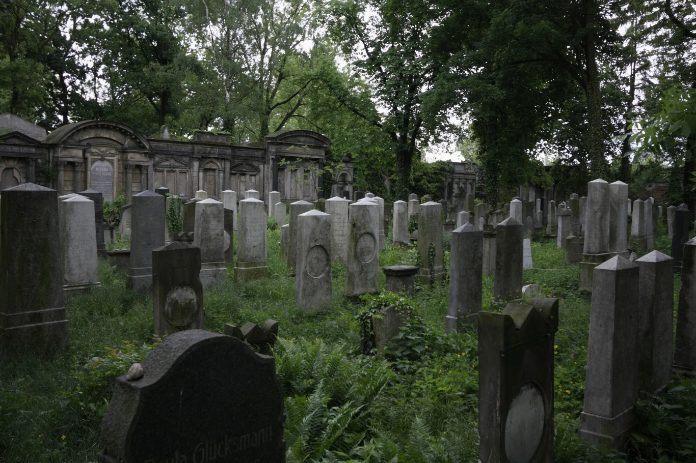 Jedno z najbardziej tajemniczych muzeów w Polsce. Ludzie przychodzą oglądać groby Jedno z najbardziej tajemniczych muzeów w Polsce. Ludzie przychodzą oglądać groby