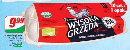 Jaja Wysoka Grzęda