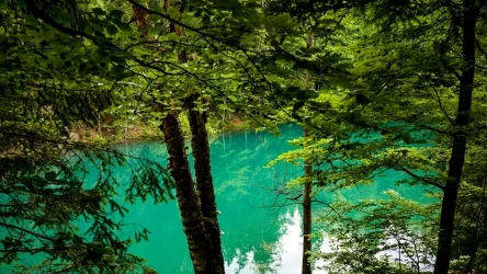 Kolorowe Jeziorka w Rudawach Janowickich to atrakcja odwiedzana przez turystów nie tylko z Polski.