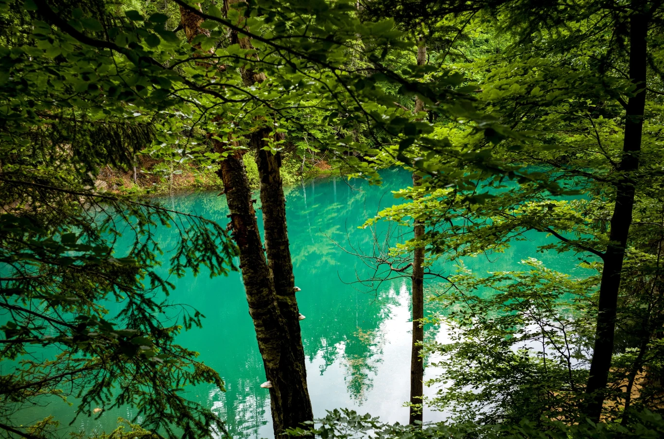 Kolorowe Jeziorka w Rudawach Janowickich to atrakcja odwiedzana przez turystów nie tylko z Polski.