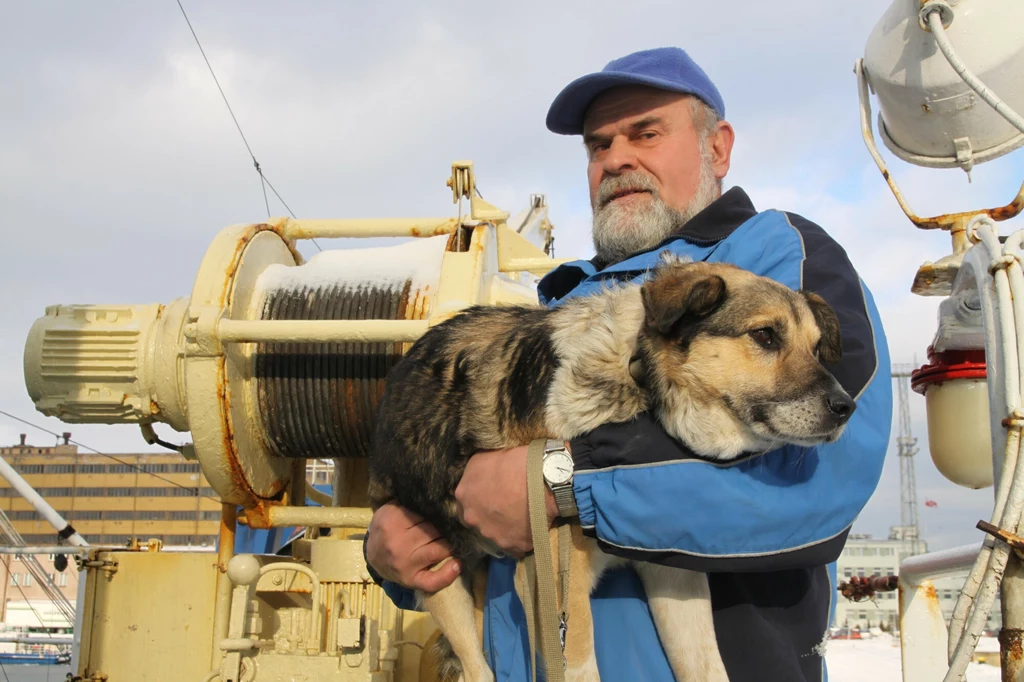 Pies Baltic na ramionach wybawcy
