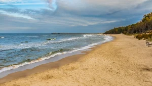 Plaża w Lubiatowie jest szeroka, pokryta drobnym, białym piaskiem i otoczona wydmami porośniętymi sosnowym lasem
