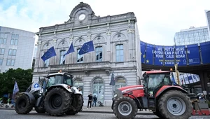 Rolnicy protestują w całej Europie