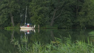 Ta wyspa to miejsce mocy. Jest ukryta na Szlaku Wielkich Jezior 