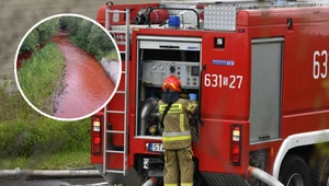 Woda w potoku w Zubrzycy Górnej (woj. małopolskie) nieoczekiwanie przybrała czerwony kolor