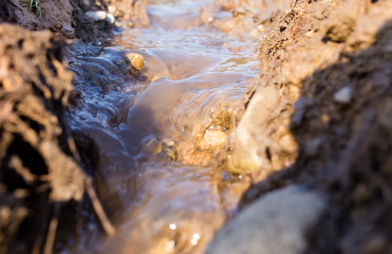 Szukanie wody podziemnej można przeprowadzić domowymi metodami. Szukanie wody podziemnej można przeprowadzić domowymi metodami.