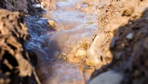 Jak znaleźć wodę na działce domowym sposobem? Przyda się nie tylko różdżka